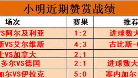岘港巨龙与河内水牛对决深度数据剖析